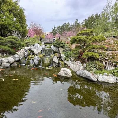 Japanese Friendship Garden and Museum