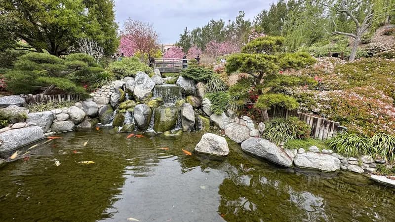Japanese Friendship Garden and Museum