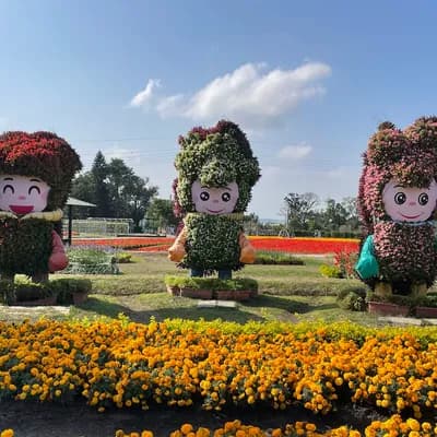 Zhongshe flower market taichung