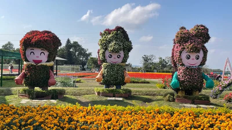 Zhongshe flower market taichung