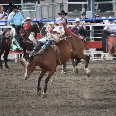 Cody Night Rodeo