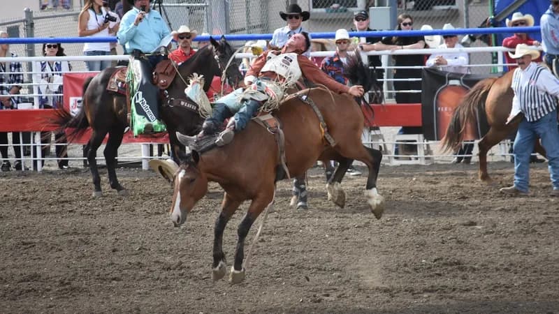 Cody Night Rodeo
