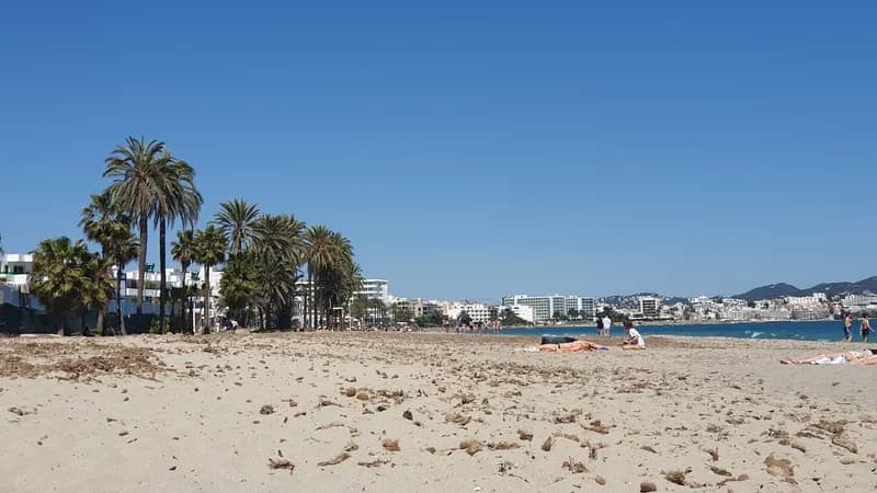 Bossa Beach