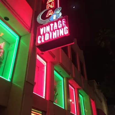 Iguana Vintage Clothing