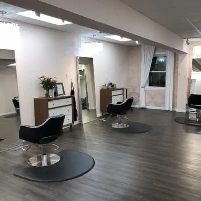 The Blonde Fox Salon