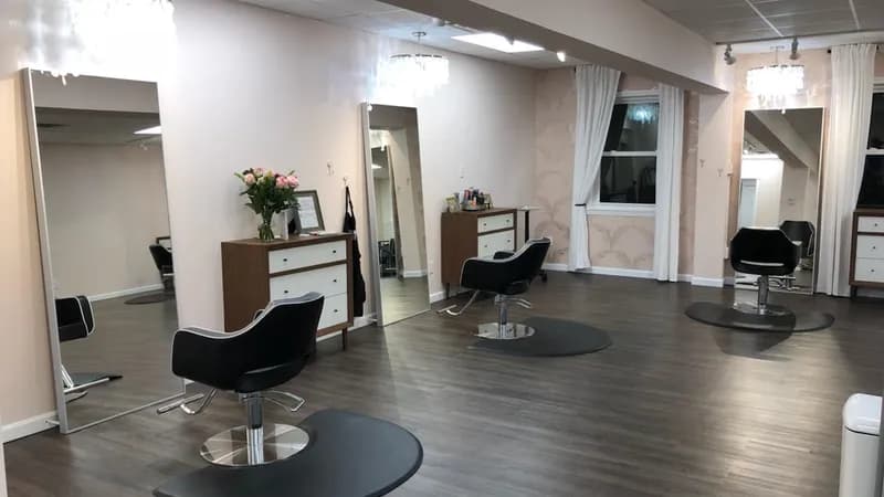 The Blonde Fox Salon