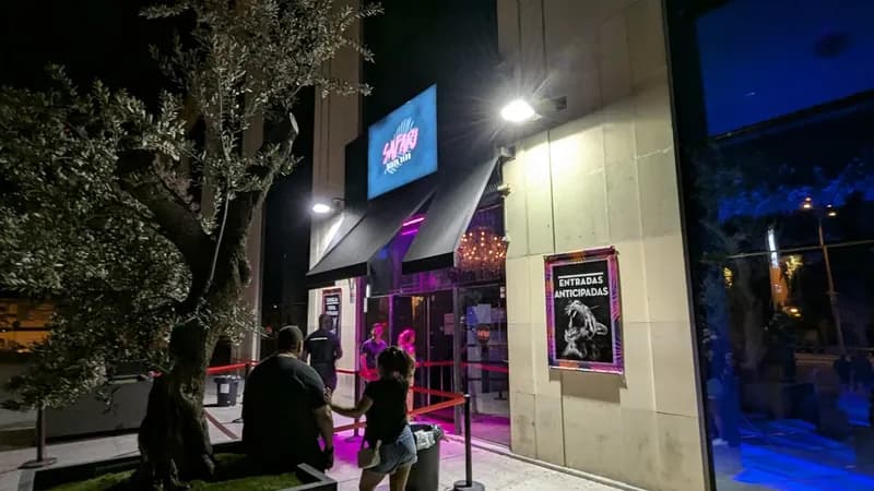 Safari Disco Club