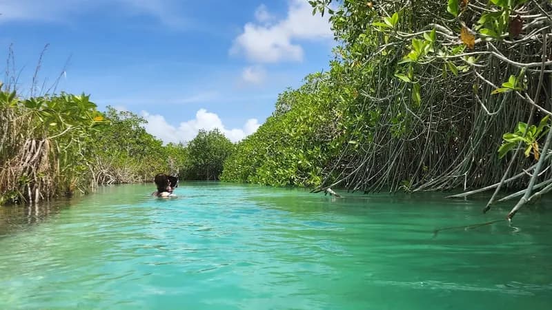 Reserva de la Biósfera Sian Ka'an