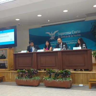 House Legal Culture Cuernavaca