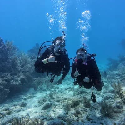 Captain's Corner Dive Center