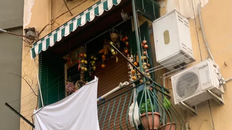Bar Fiorillo S.a.s.