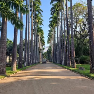 Jardin botanique de Rio de Janeiro