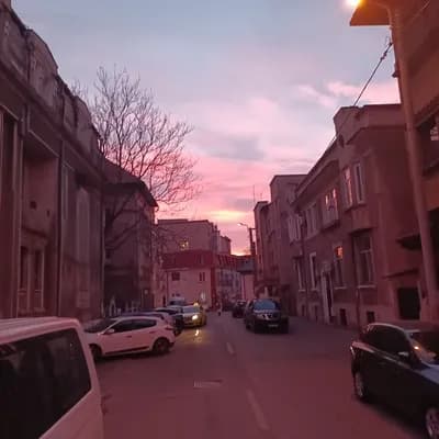 Asociația Accept