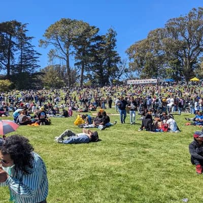 Hippie Hill