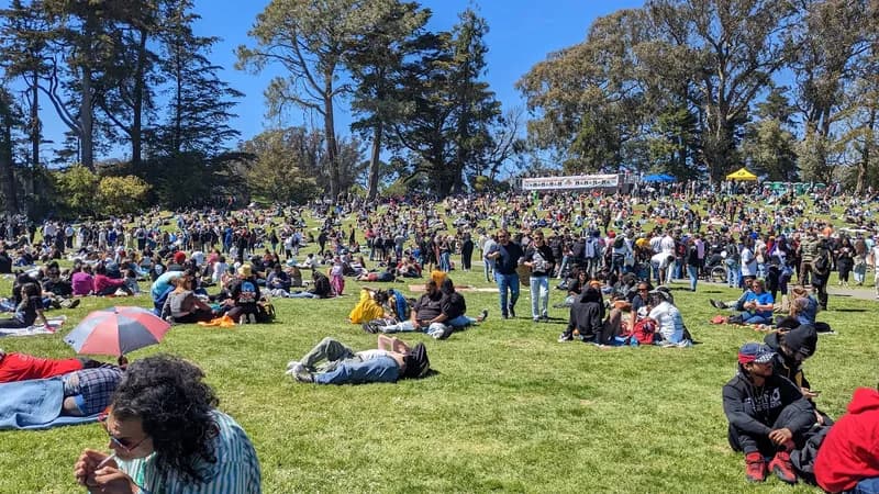 Hippie Hill