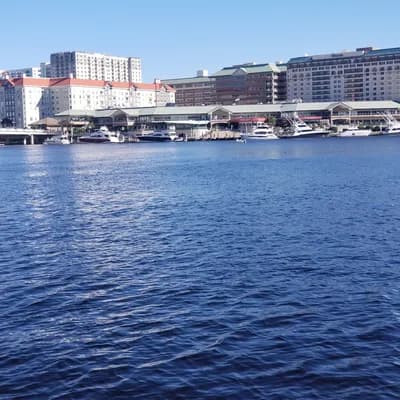 Tiki Boat Tampa LLC