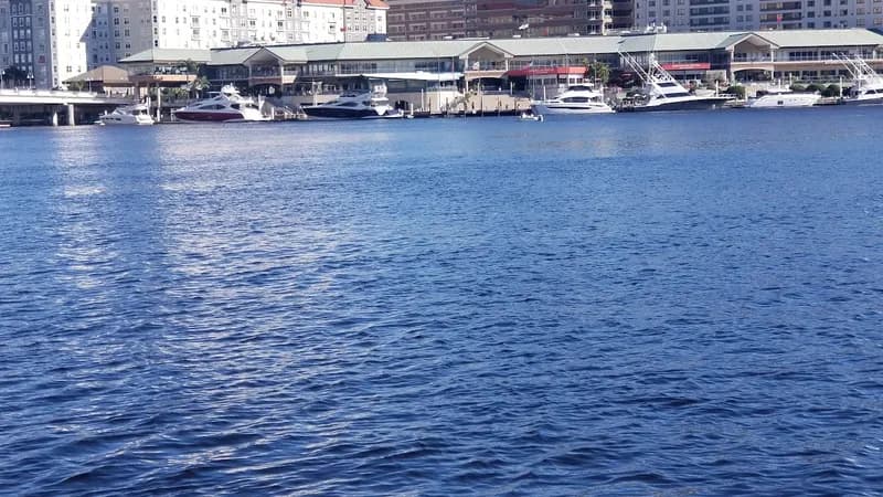 Tiki Boat Tampa LLC
