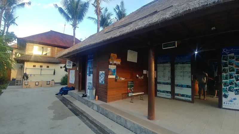 Blue Corner Dive & Marine Conservation - Nusa Lembongan