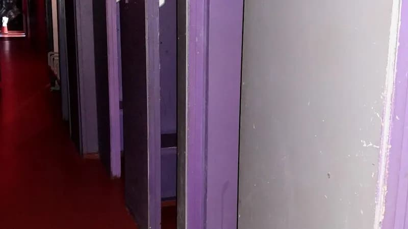The Den Adult Concepts