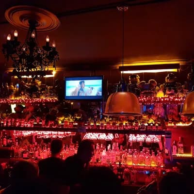 Nicho Bears & Bar