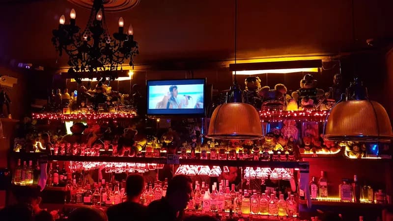 Nicho Bears & Bar