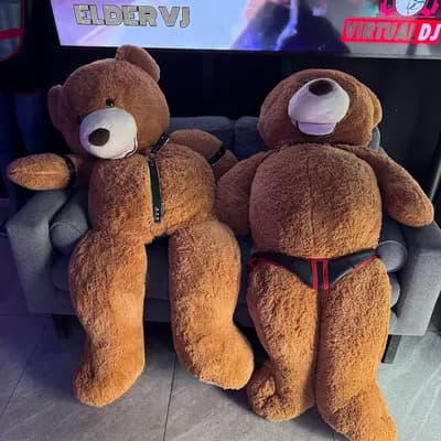 STUDS Bear Bar