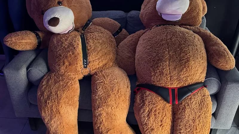 STUDS Bear Bar