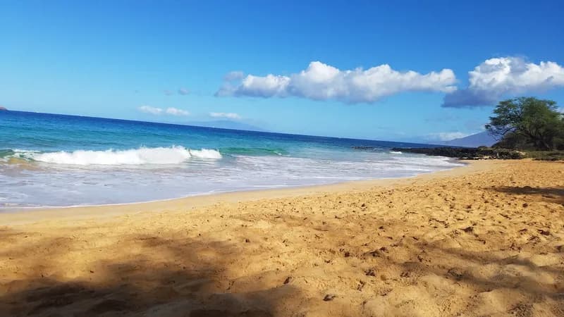 Little Beach