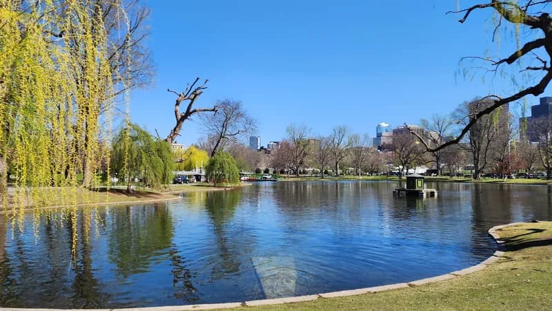 Public Garden