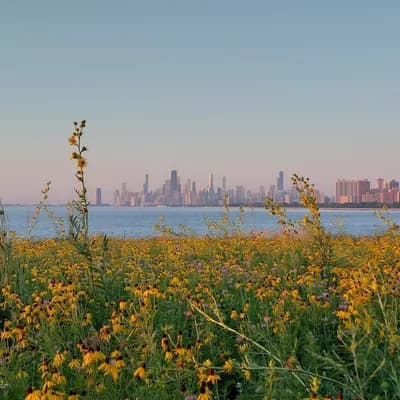 Montrose Point Bird Sanctuary