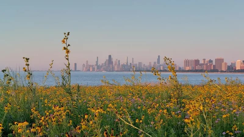 Montrose Point Bird Sanctuary