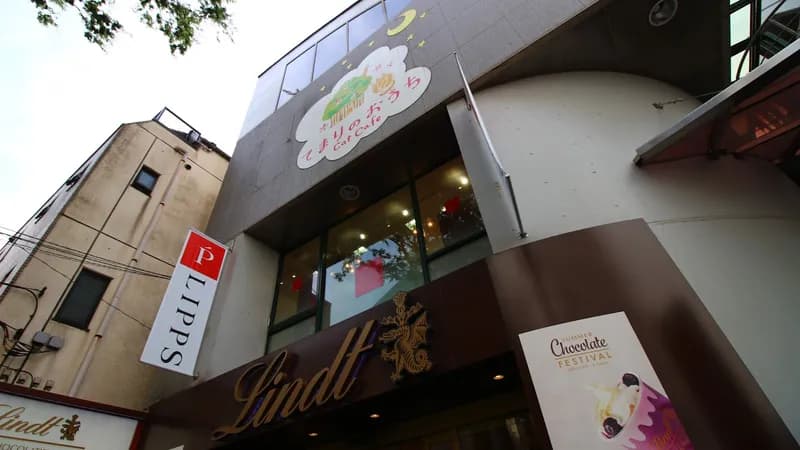 Cat Cafe Temari no Ouchi