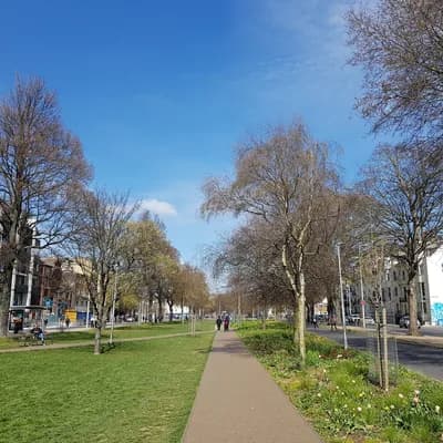 Victoria Gardens