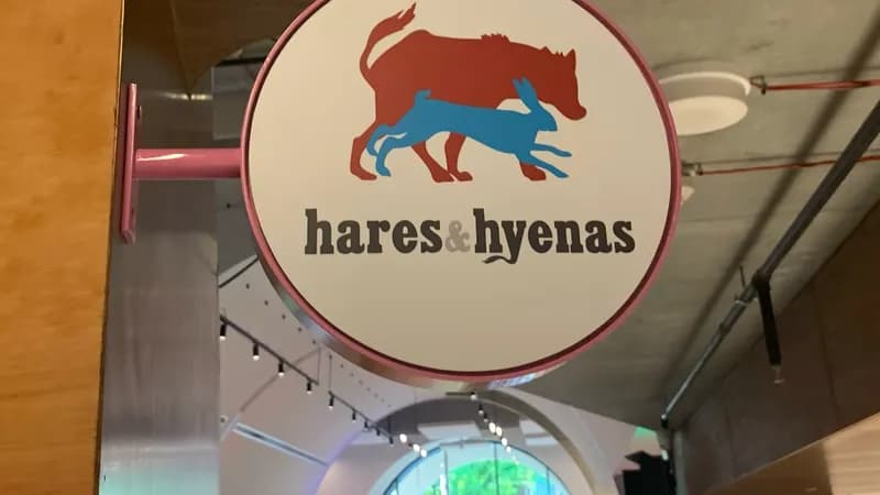 Hares & Hyenas