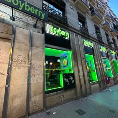 Boyberry Madrid