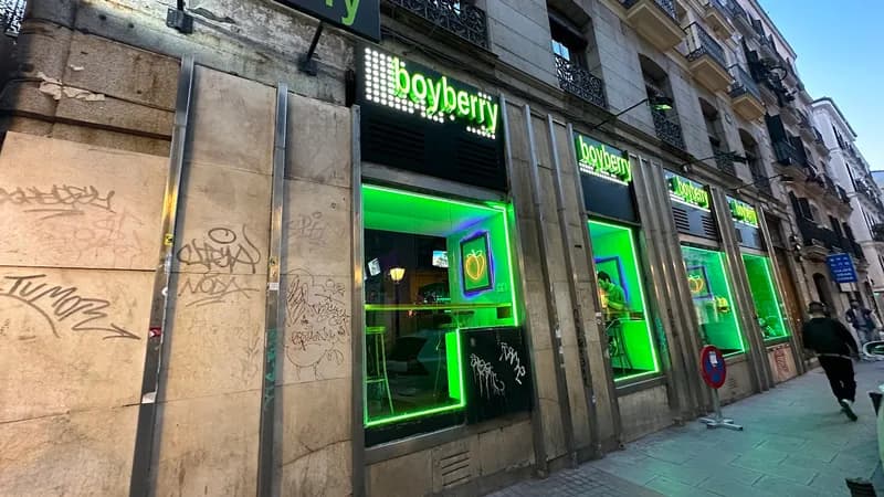 Boyberry Madrid
