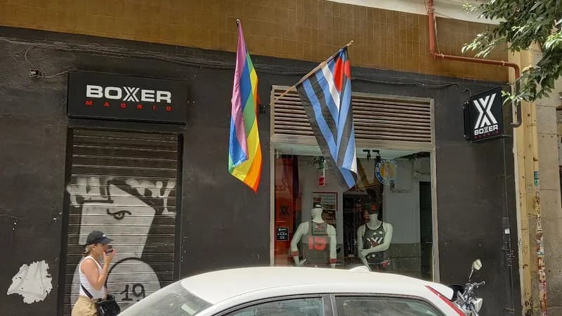 Boxer Madrid