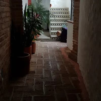 Villa David Bed & Breakfast