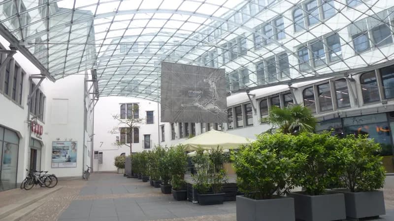 LEHMANN Club