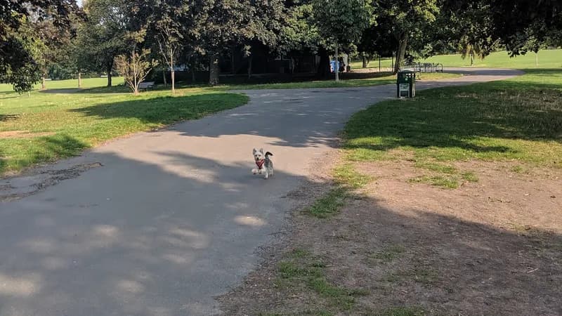 Preston Park