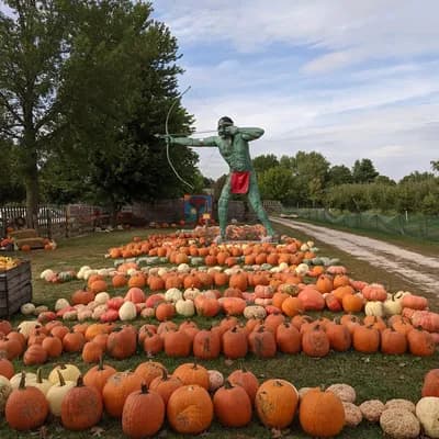 Curtis Orchard & Pumpkin Patch