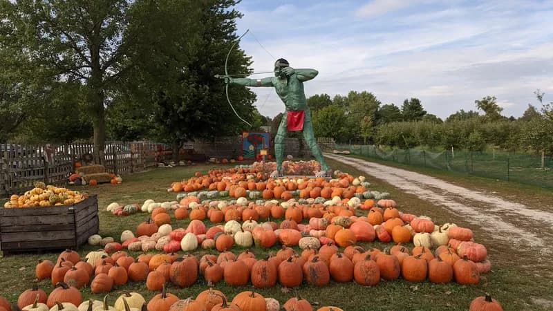 Curtis Orchard & Pumpkin Patch