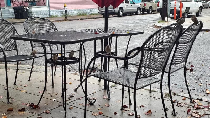 Who Dat Coffee Cafe