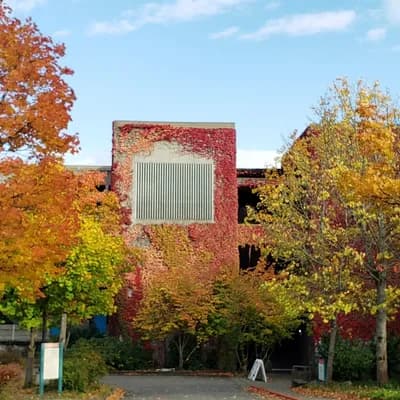 North Seattle College