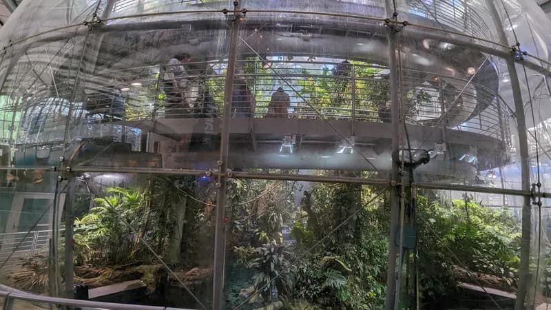 California Academy of Sciences