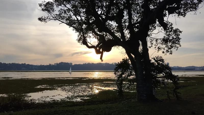 Yacht Club Santo Amaro