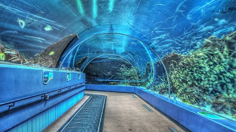 Aquarium de Géorgie