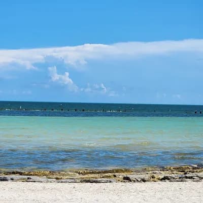 Clarence S.Higgs Memorial Beach