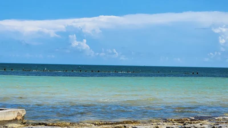 Clarence S.Higgs Memorial Beach