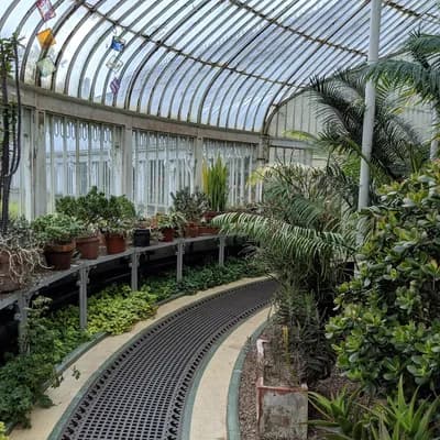 Jardin botanique de Belfast